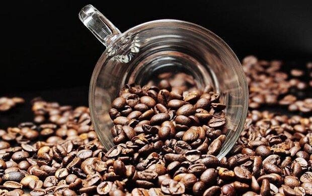 دانه قهوه ریسک ابتلاء به دیابت را کاهش می دهد