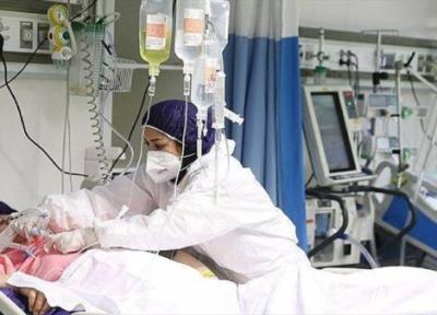 دومین روز بدون فوتی کرونا در اردبیل، 29 بیمار تازه بستری شده اند