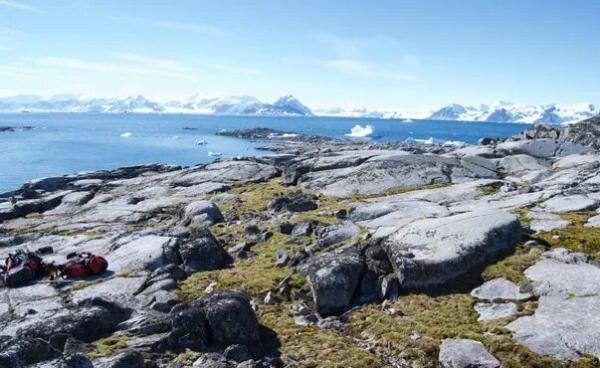 رکورد رشد و تغییر پوشش گیاهیِ قطب جنوب