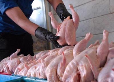 دلیل افزایش قیمت گوشت مرغ در بازار ، قیمت ها در روزهای آینده مقرون به صرفه تر می گردد؟