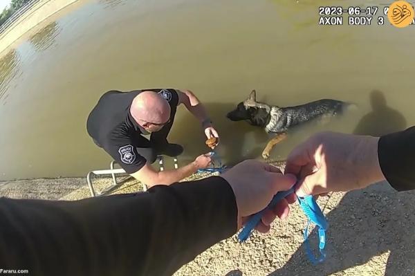 نجات یک سگ گیر افتاده در کانال آب با کلوچه کدو تنبل!